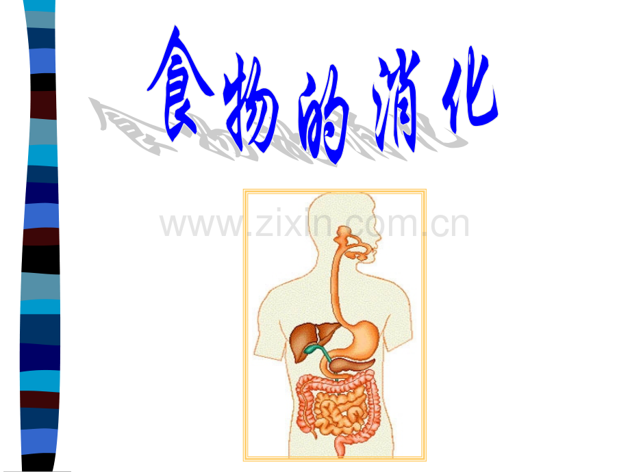 冀教版七年级下生物春使用食物消化.pptx_第1页