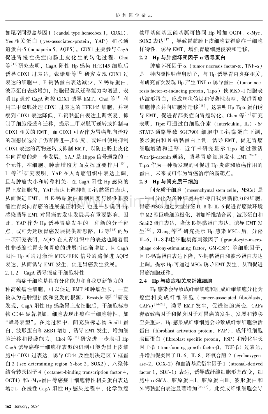 幽门螺杆菌诱导上皮-间质转化在胃癌中的作用机制.pdf_第3页