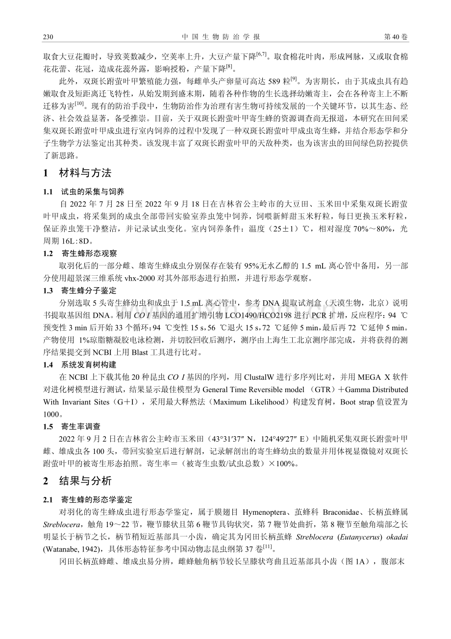 首次发现一种双斑长跗萤叶甲寄生蜂——冈田长柄茧蜂.pdf_第2页