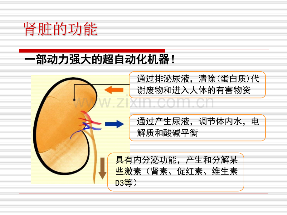 慢性肾功能不全的诊疗.pptx_第3页