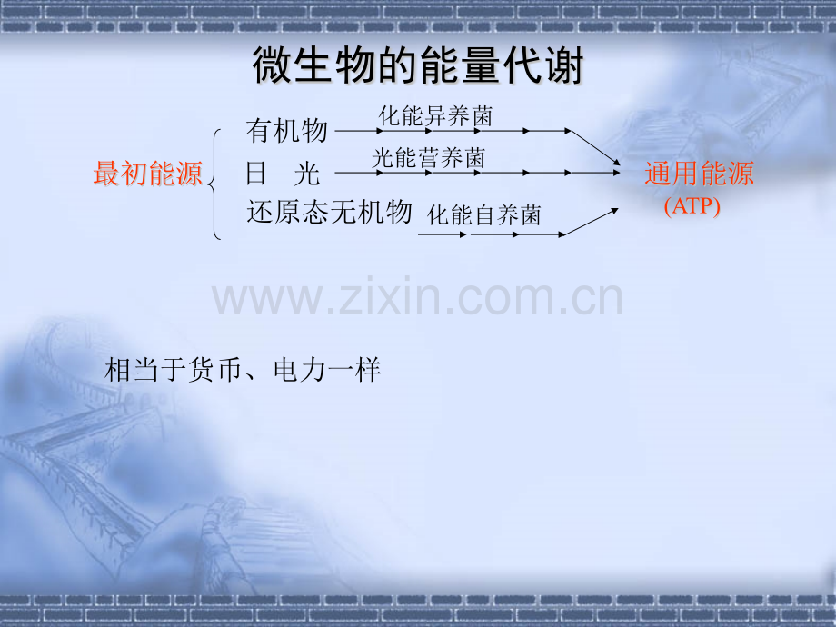 微生物的代谢2.pptx_第2页