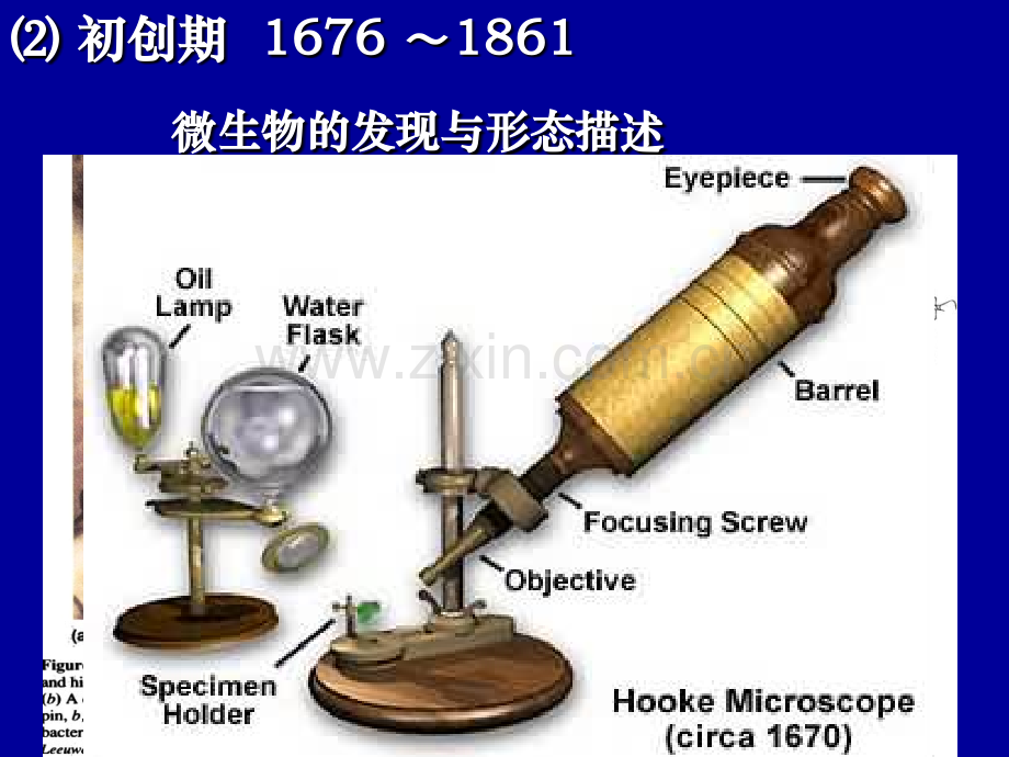 微生物1绪论.pptx_第2页