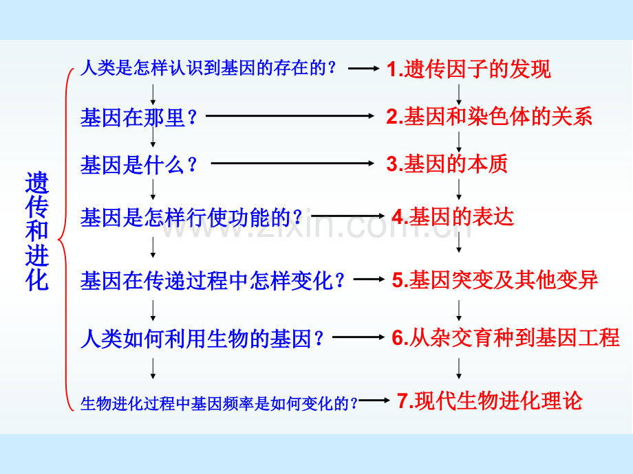 孟德尔的豌豆杂交实验一唐海.pptx_第2页