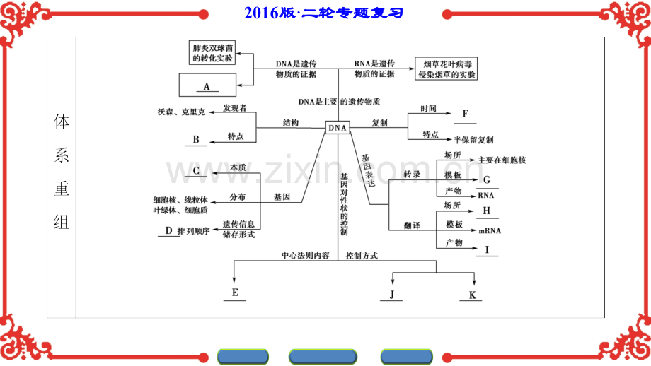 新坐标高考生物第二轮复习-专题4.pptx_第2页