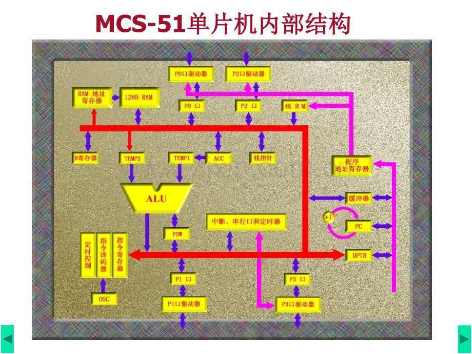 单片机硬件结构.pptx_第3页