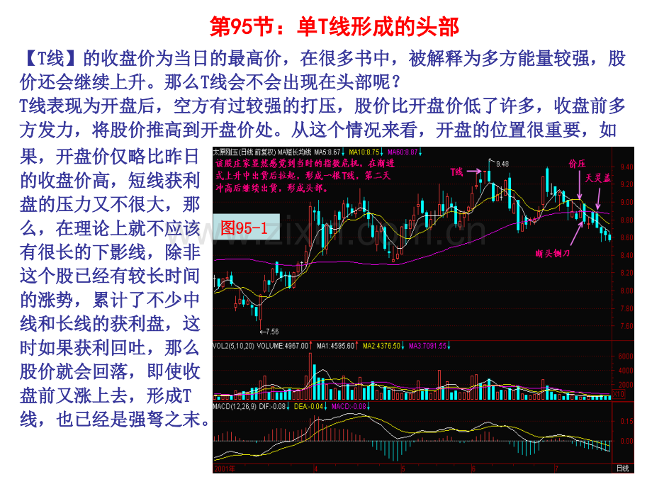 单T线形成的头部.pptx_第1页