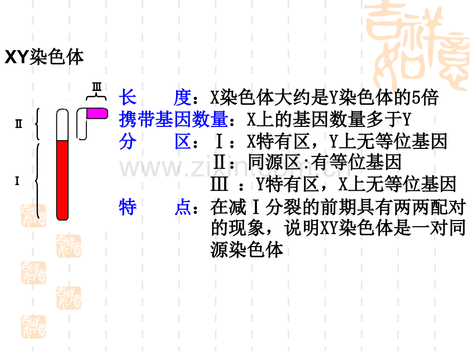 复习伴性遗传.pptx_第3页