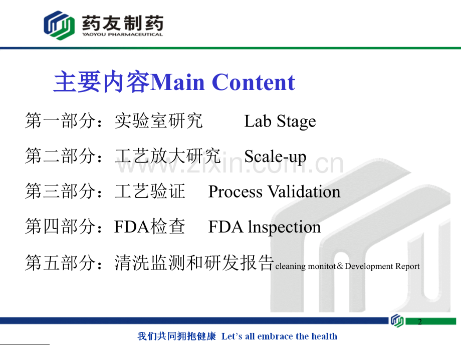 化学药品制剂制备.pptx_第2页