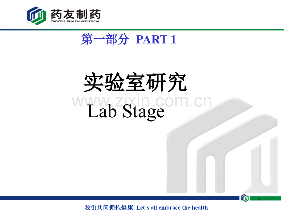 化学药品制剂制备.pptx_第3页