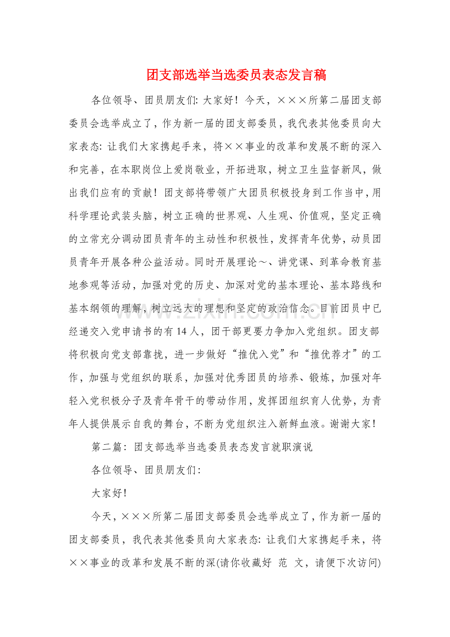 团支部选举当选委员表态发言稿精选多篇.doc_第1页