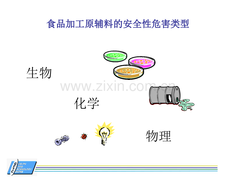 影响食品安全的因素及预防措施.pptx_第3页