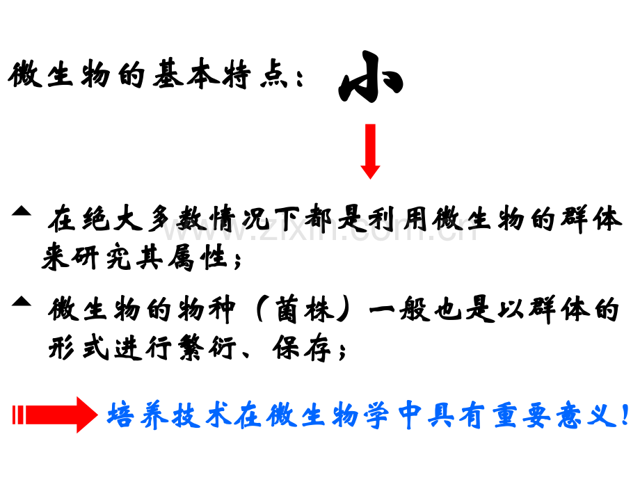 微生物的纯培养和显微技术1.pptx_第2页