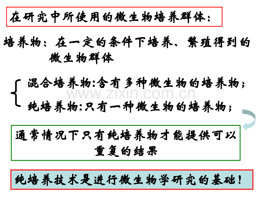 微生物的纯培养和显微技术1.pptx_第3页