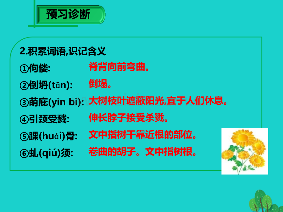 学九级语文下册那树新版新人教版.pptx_第3页