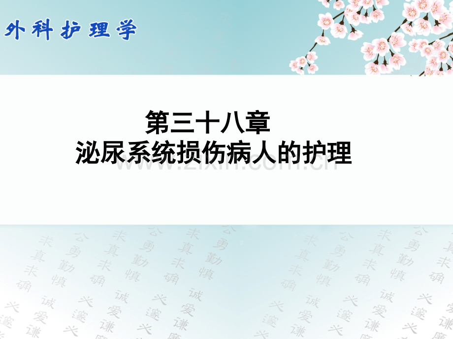 泌尿系统损伤病人的护理20181022.pptx_第1页