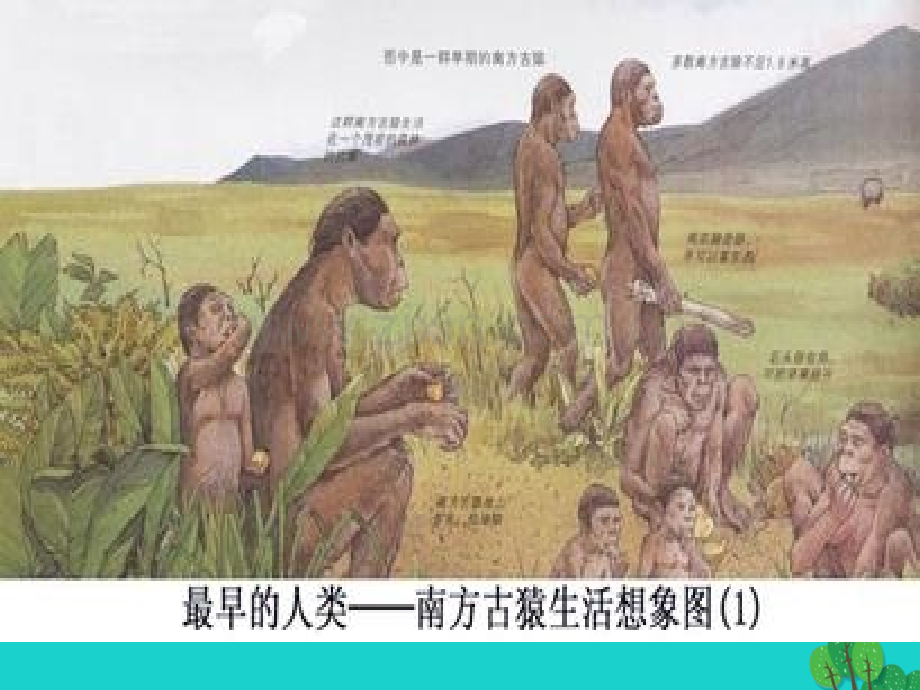 七年级历史上册远古人类足迹岳麓版.pptx_第3页