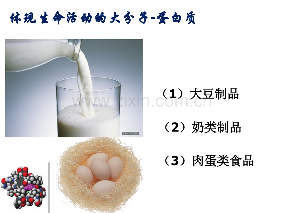 22生命活动的主要承担着蛋白质.pptx_第3页