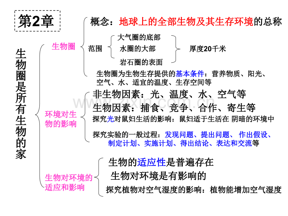 人教版2017七年级上册复习资料.pptx_第3页