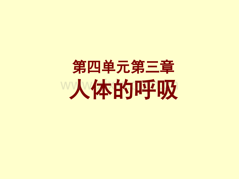 人体的呼吸.pptx_第1页