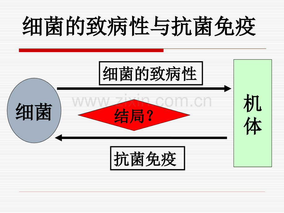 6细菌的感染与免疫总结.pptx_第3页