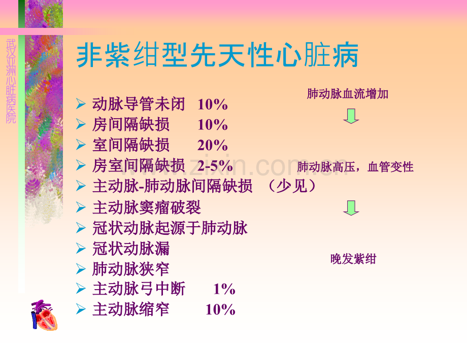 先天性心脏病病理生理.pptx_第2页