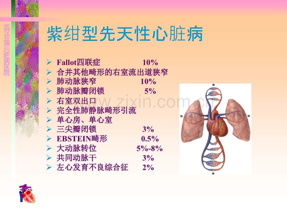 先天性心脏病病理生理.pptx_第3页