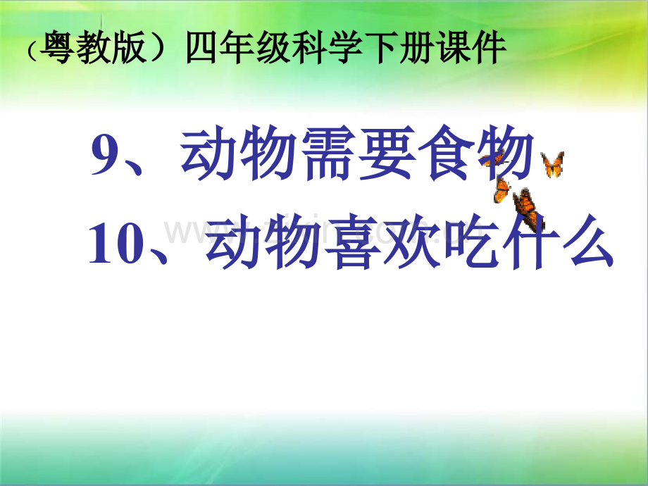 910动物需要食物喜欢吃什么.pptx_第1页