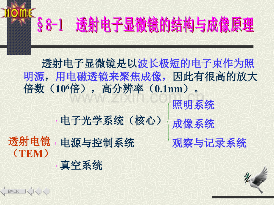 修改透射电子显微镜.pptx_第3页