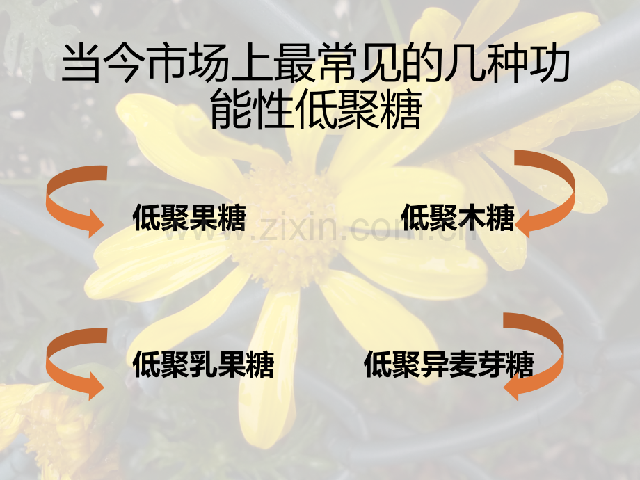 2功能性低聚糖的生理功能.pptx_第3页