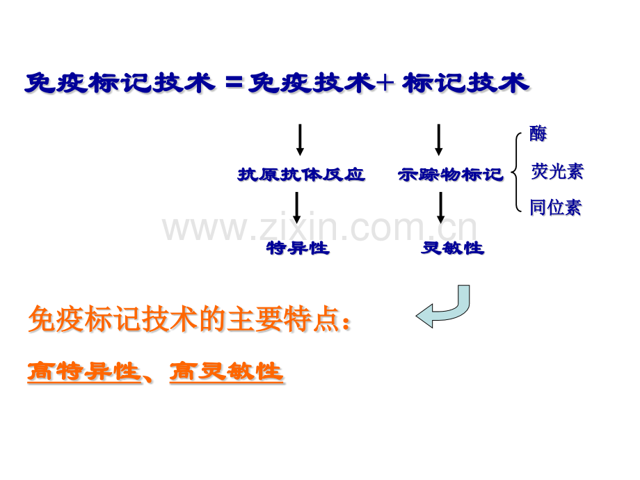 免疫标记技术.pptx_第1页