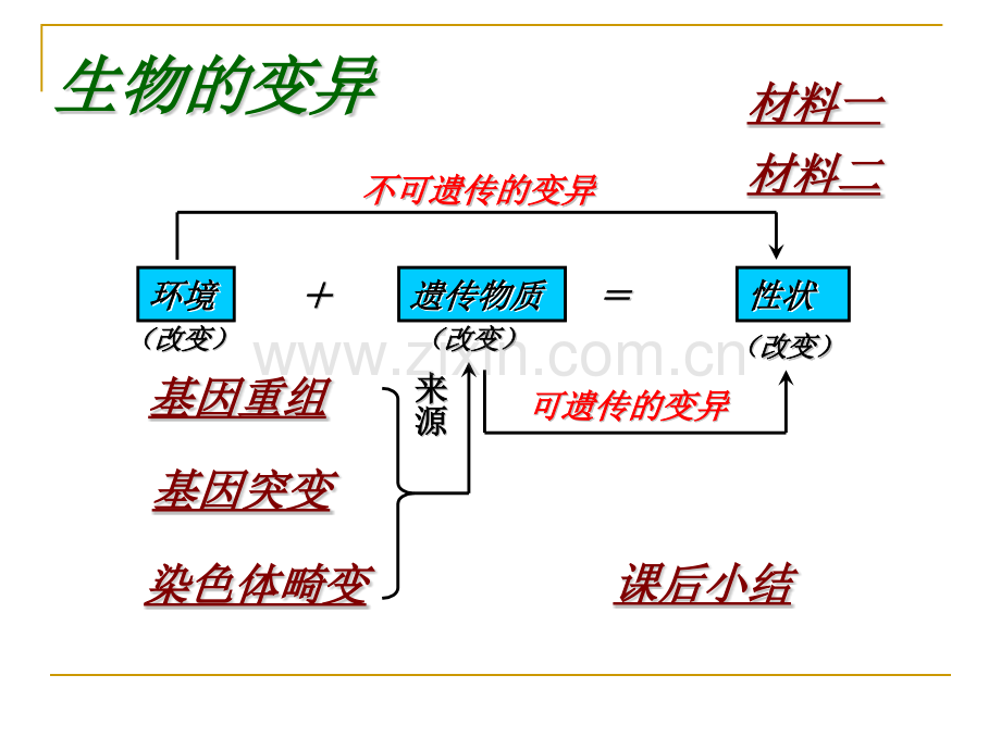 41生物变异的来源.pptx_第2页