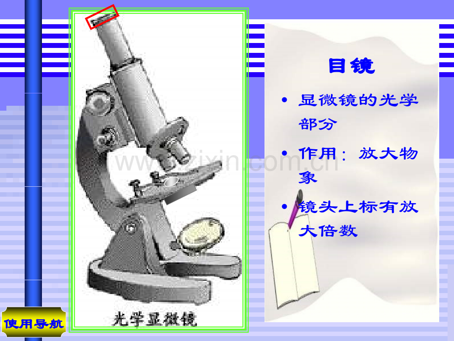 七年级生物显微镜的结构与使用.pptx_第2页