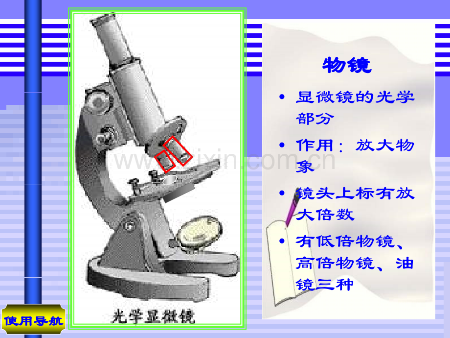 七年级生物显微镜的结构与使用.pptx_第3页