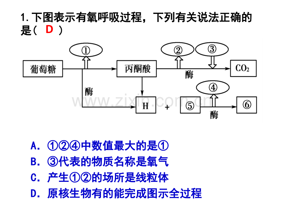 光合与呼吸典型高考题分析.pptx_第3页