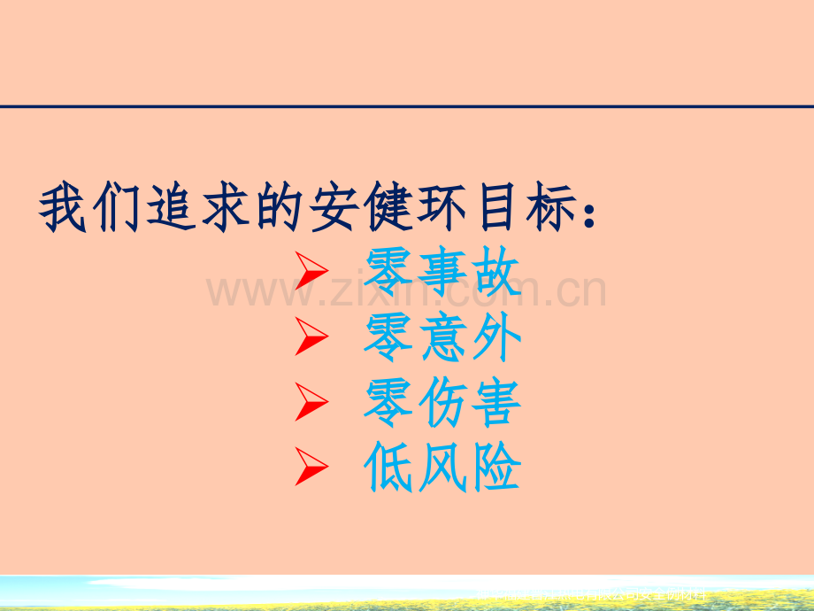 公司方针政策及各高风险作业注意事项重点培训-PPT课件.pptx_第2页