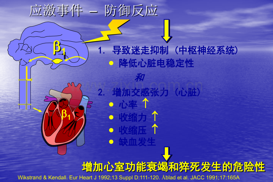 B他阻滞剂在心血管疾病中的临床应用.pptx_第2页