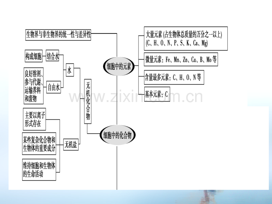 专题细胞的物质和结构基础.pptx_第1页