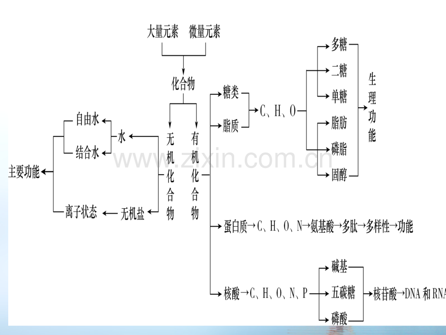 专题细胞的物质和结构基础.pptx_第3页