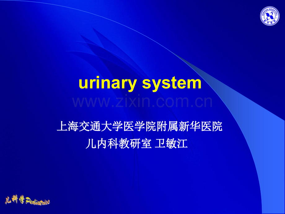 上海交通大学医学院儿科学临床医学八年一贯制泌尿系统.pptx_第1页