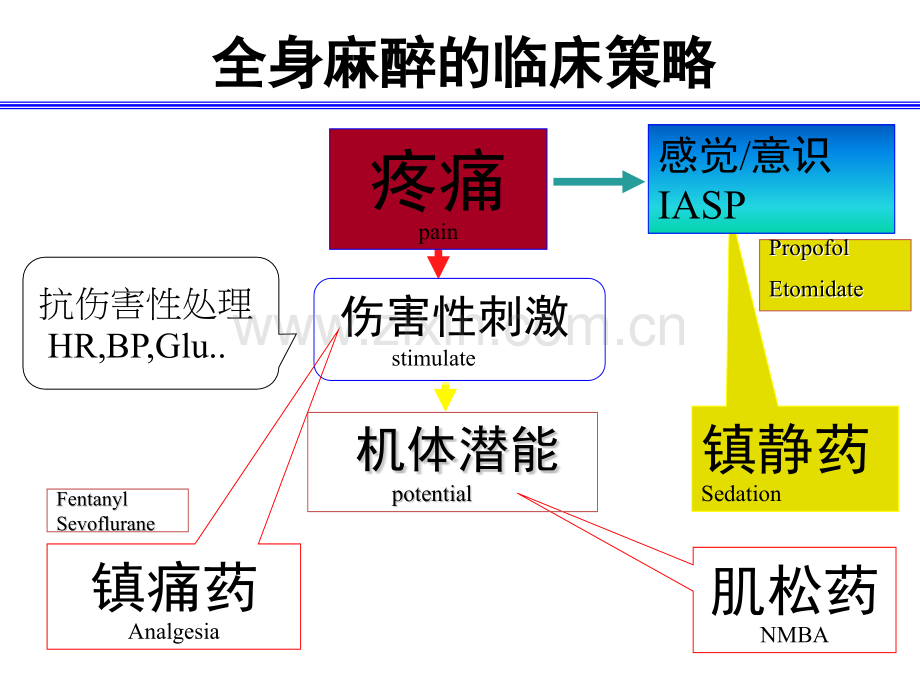 依托咪酯在维持和无痛的应用.pptx_第3页