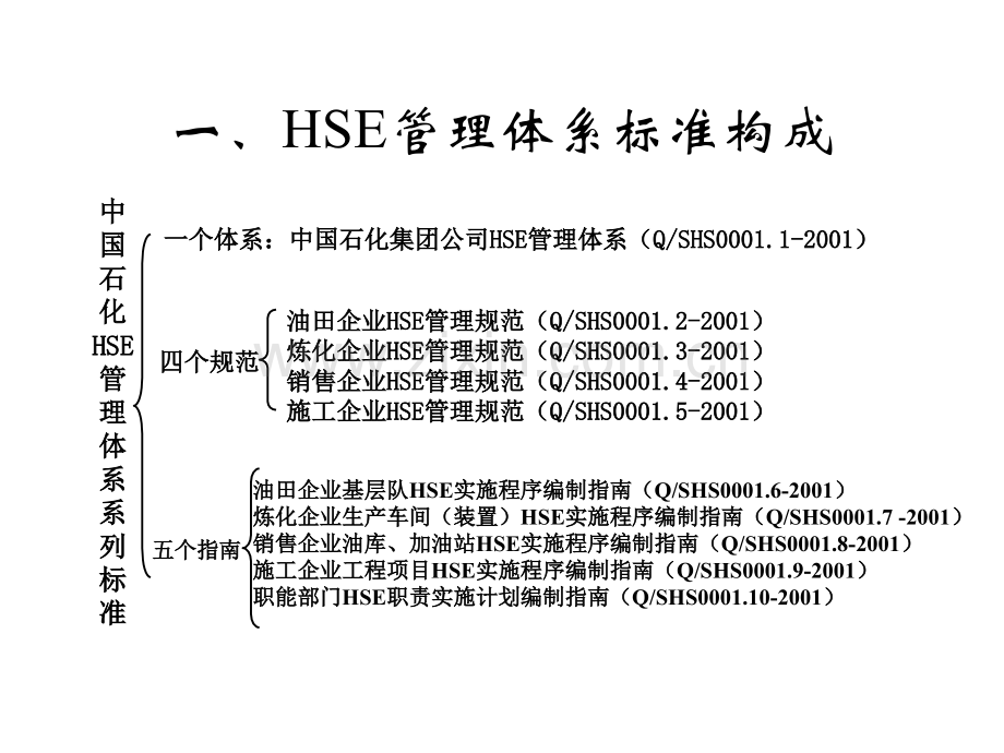 HSE管理体系标准.pptx_第3页