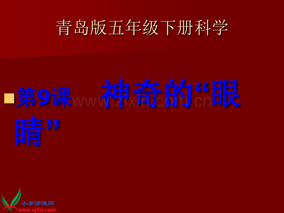 五年级科学下册——9神奇的眼睛课件.pptx_第1页