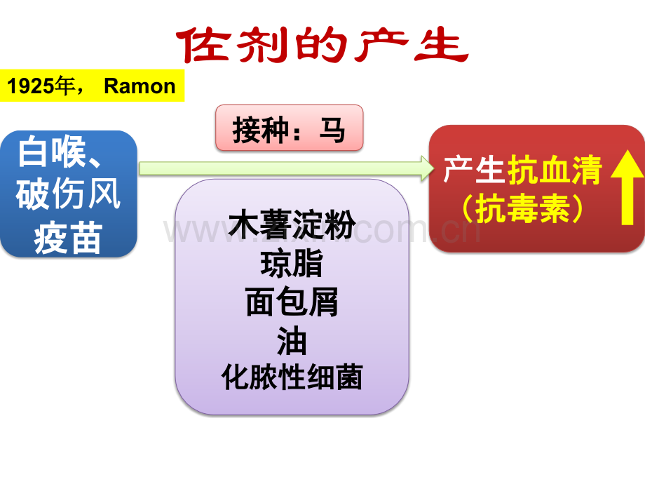 免疫佐剂.pptx_第2页