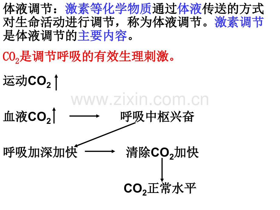 人教版教学激素调节和神经调节的关系.pptx_第2页