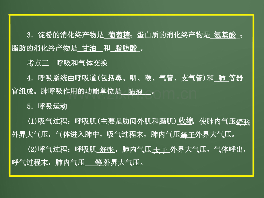 中考科学专题5人体的新陈代谢.pptx_第3页