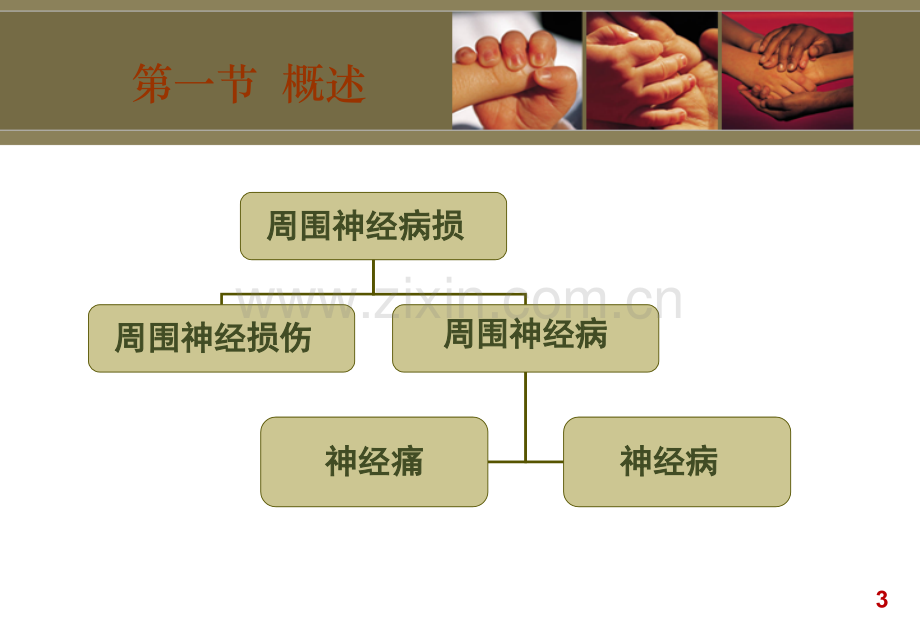 6周围神经损伤患者的康复PPT课件.pptx_第3页