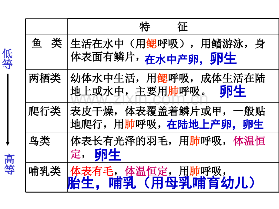 七年级上科学复习.pptx_第2页