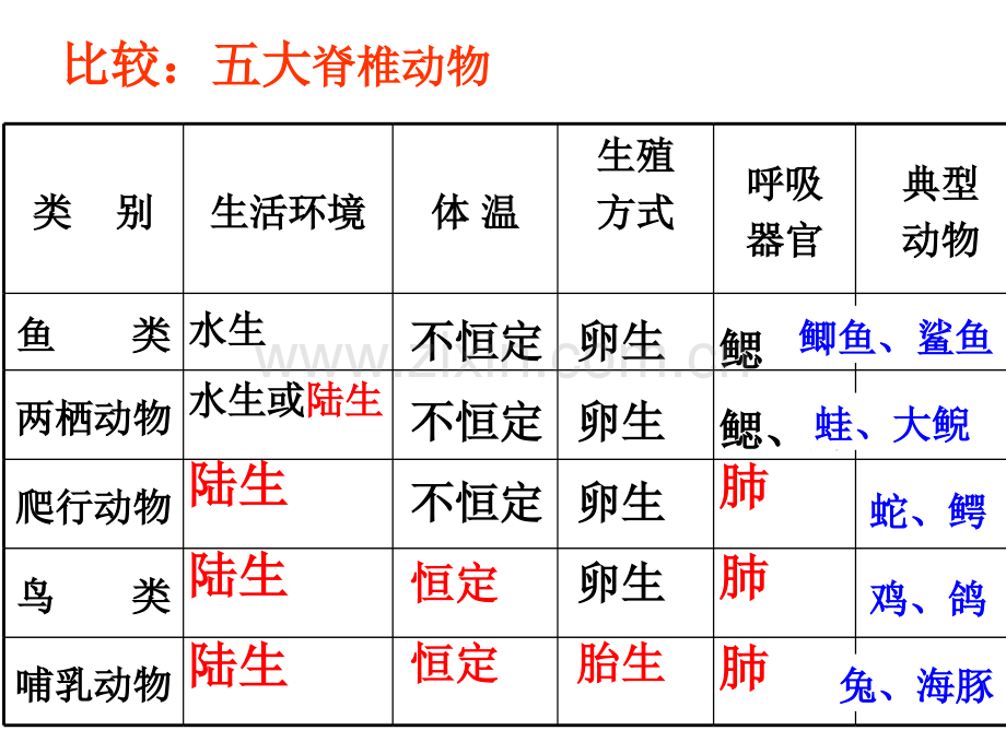 七年级上科学复习.pptx_第3页