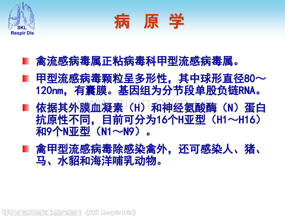 h7n9诊疗方案杨银凤.pptx_第3页