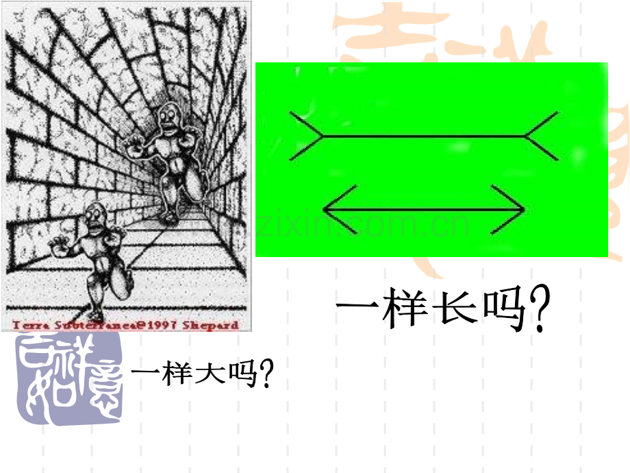 七年级科学观察和实验.pptx_第3页